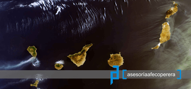 Noticias Asesoría Tenerife Sur - Asesoría Afeco Perera Tenerife