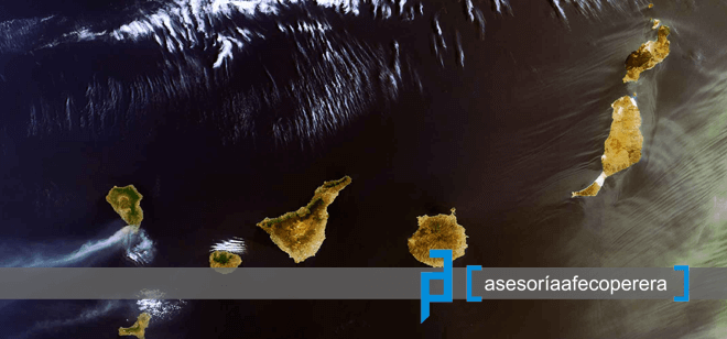 Noticias Asesoría Tenerife Sur - Asesoría Afeco Perera Tenerife